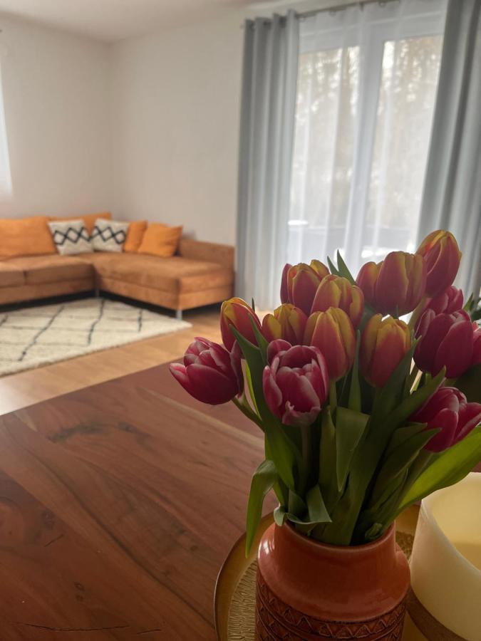 Ferienwohnung Natur Balingen Eksteriør bilde